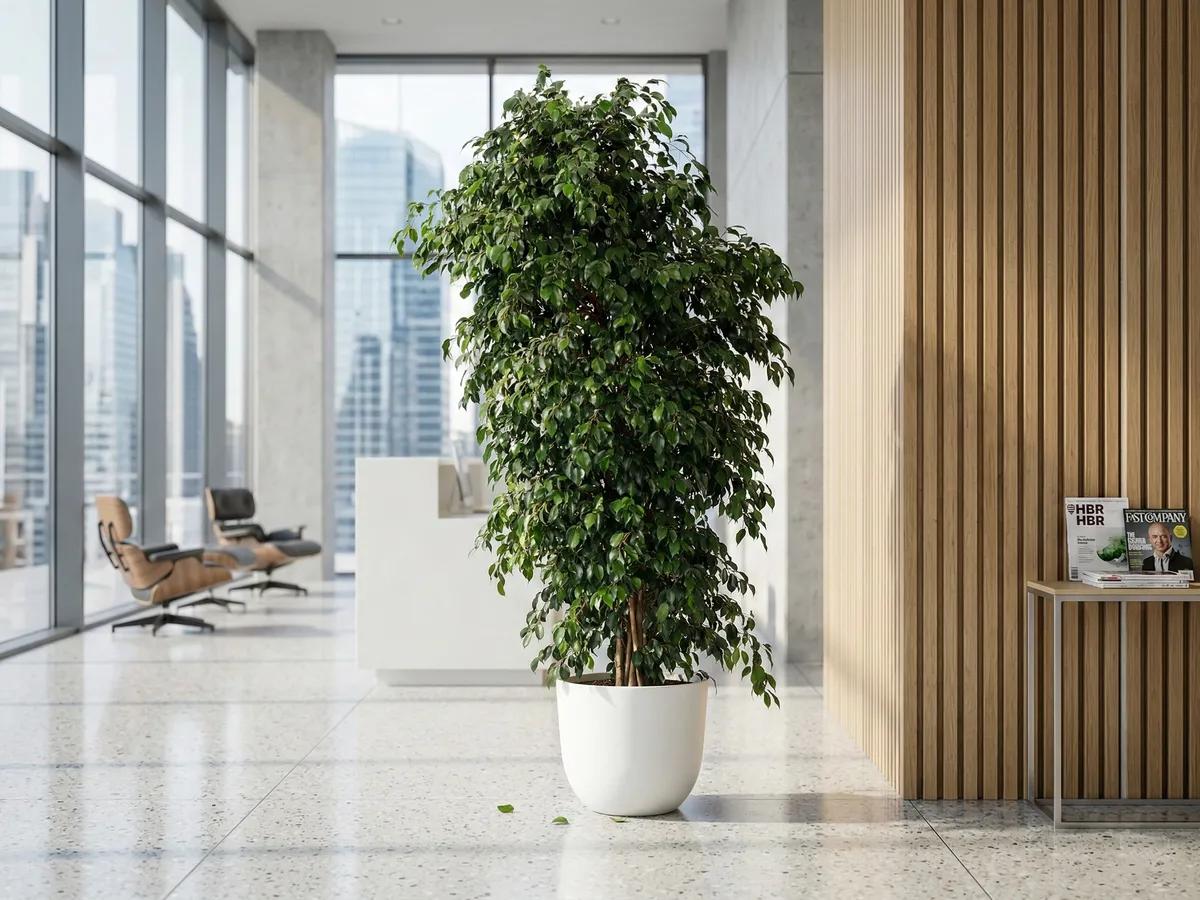 Verdélle - Plants Rental & Sales — 4