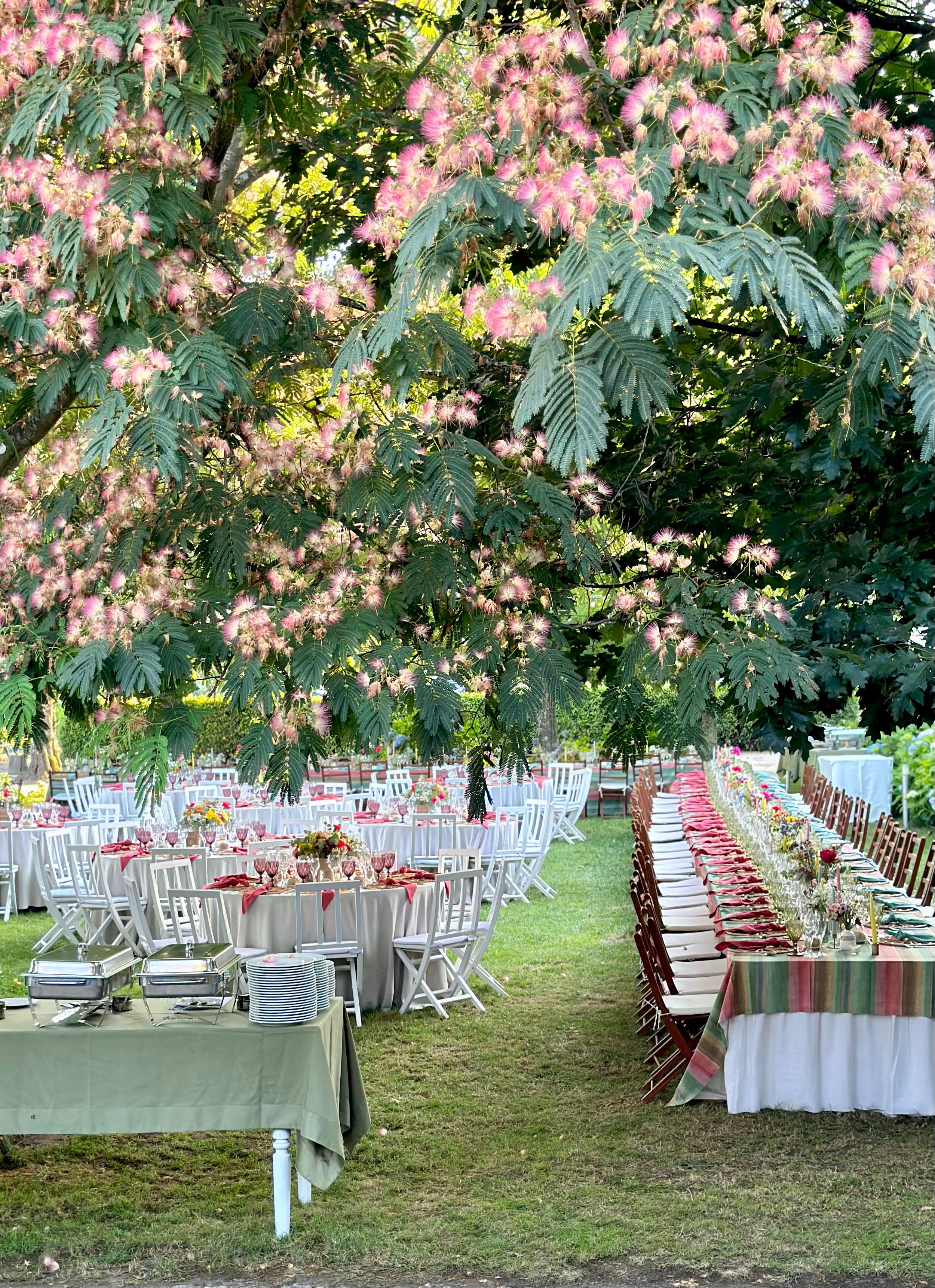 Quinta da Cerca - Viseu — 10