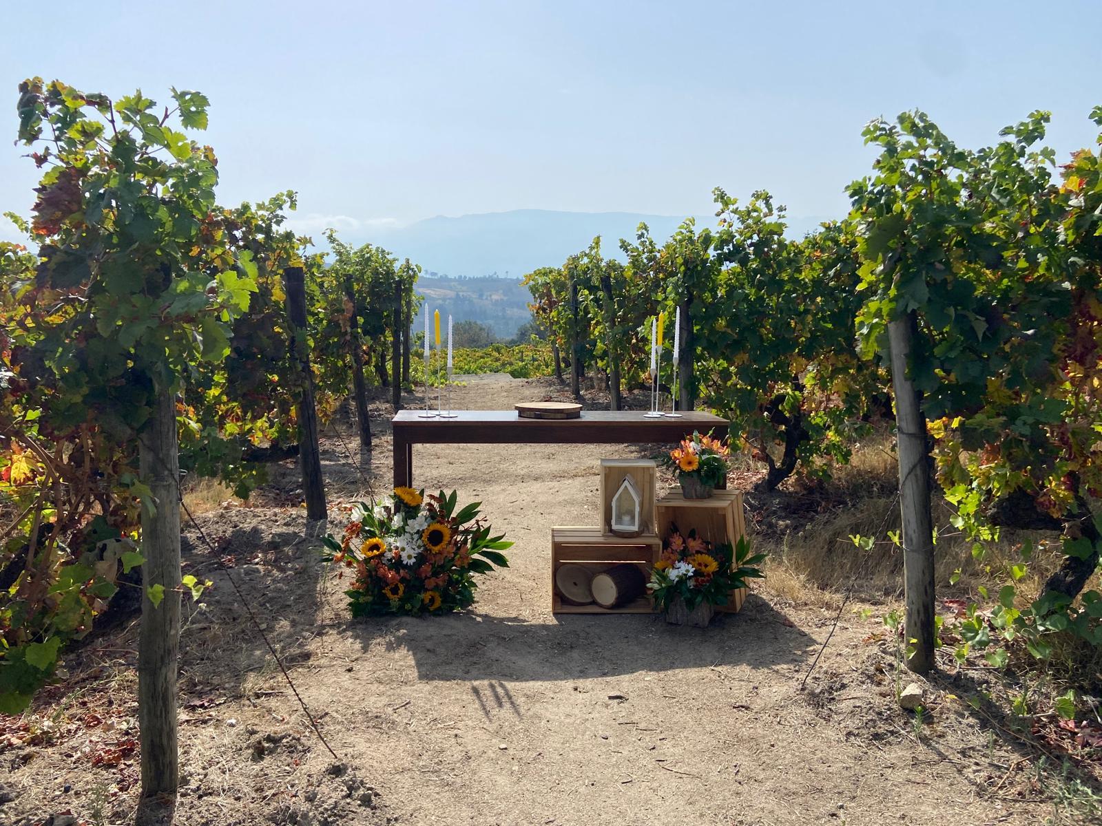 Quinta da Cerca - Viseu — 18