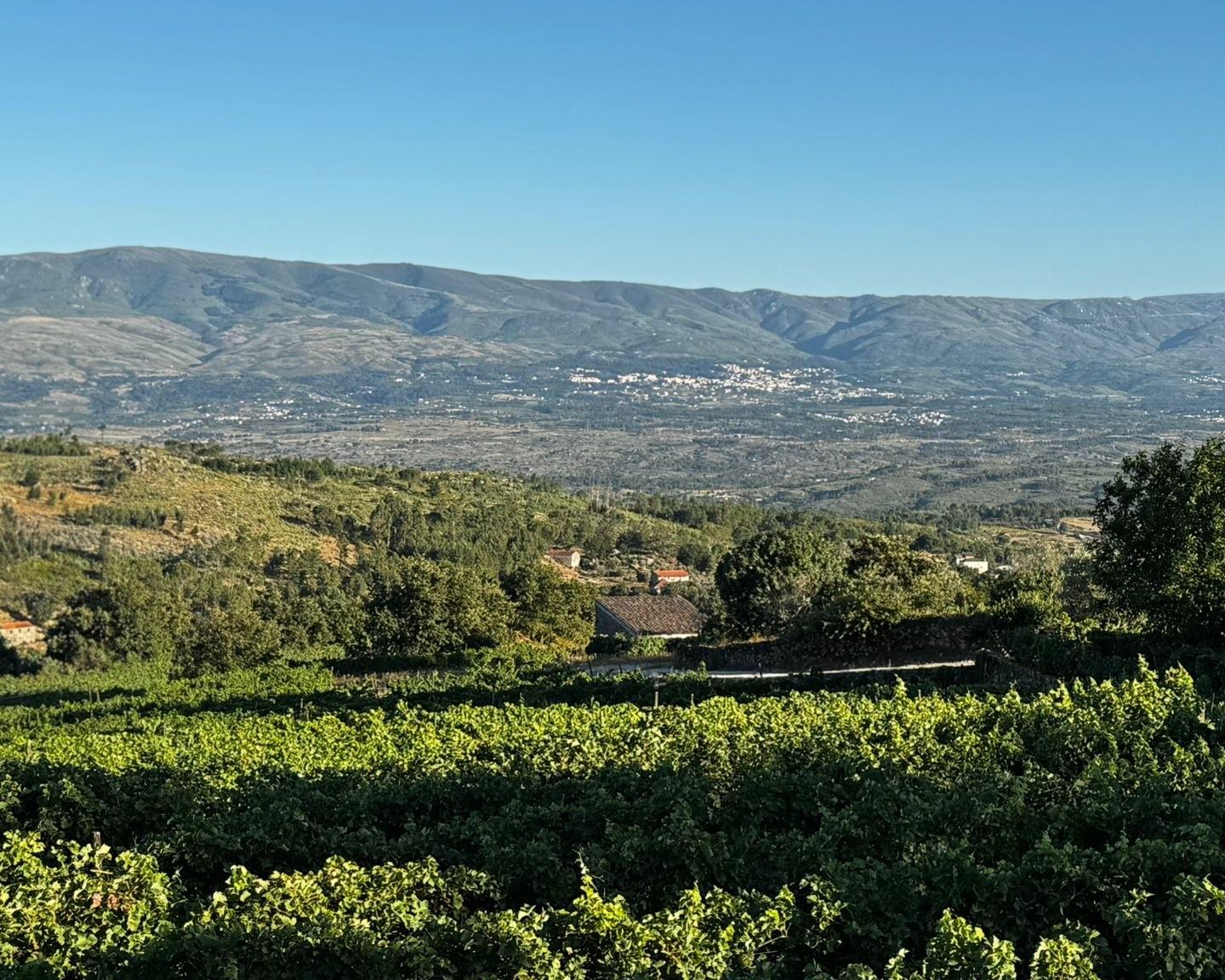 Quinta da Cerca - Viseu — 14