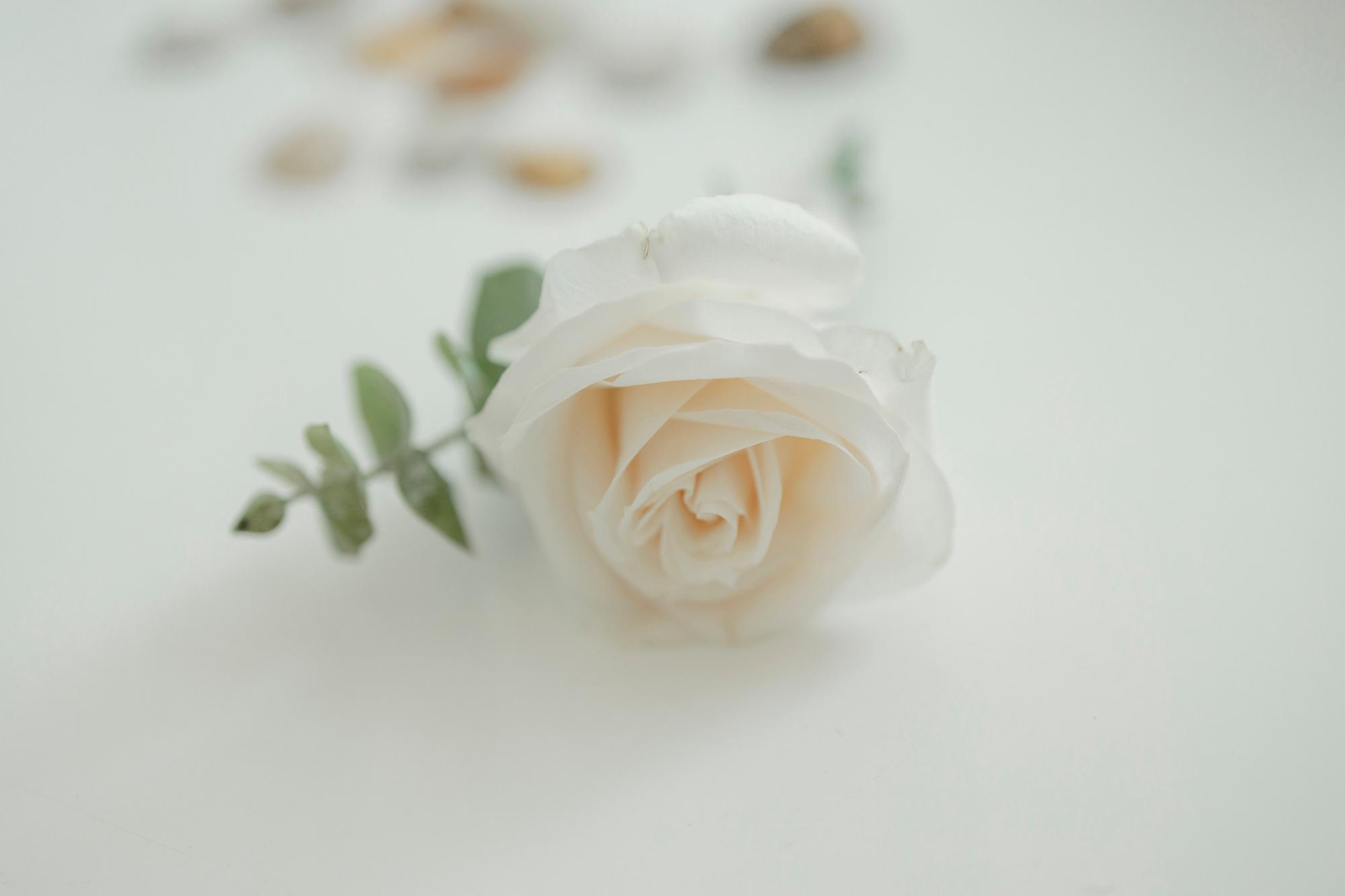 Your Wedding Algarve — 85