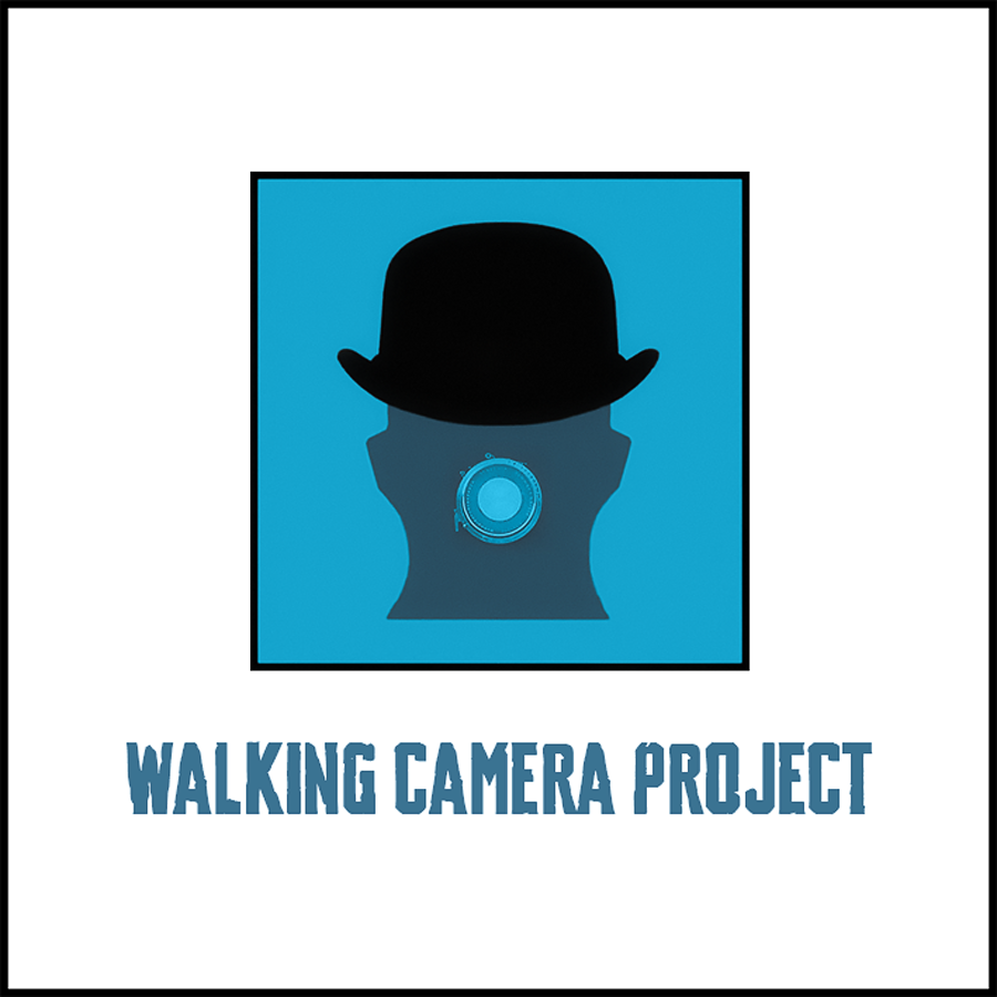 Walking Camera Project — 2